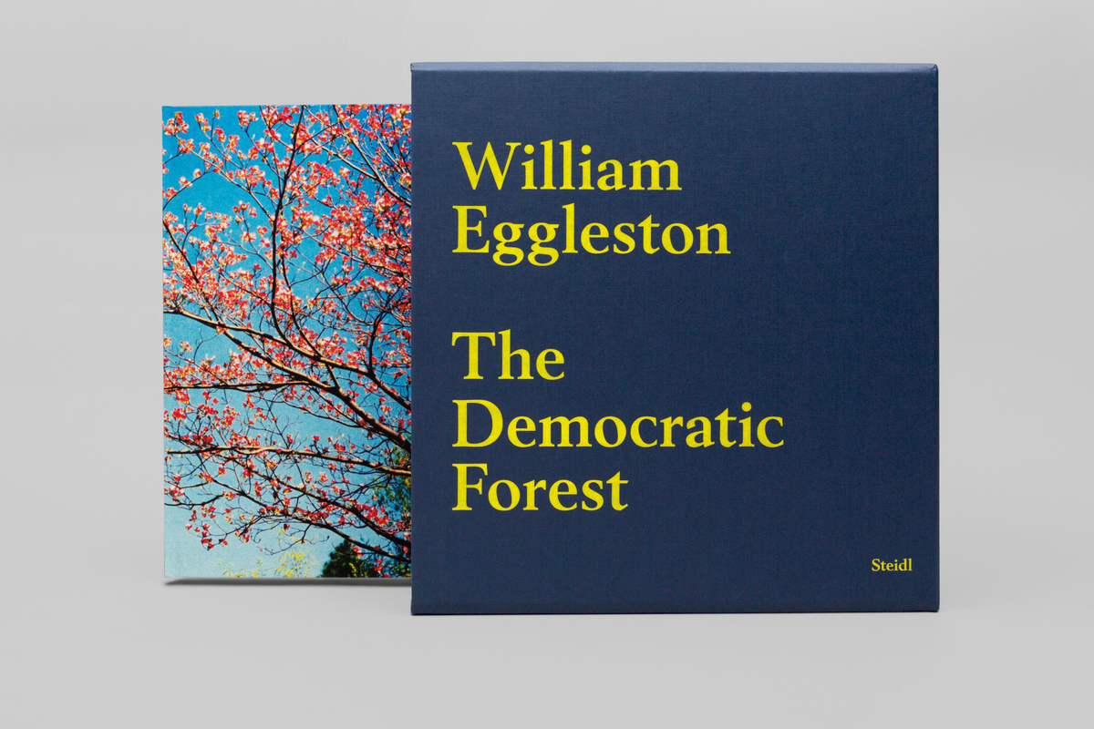 The Democratic Forest William Egglestonエンタメ/ホビー